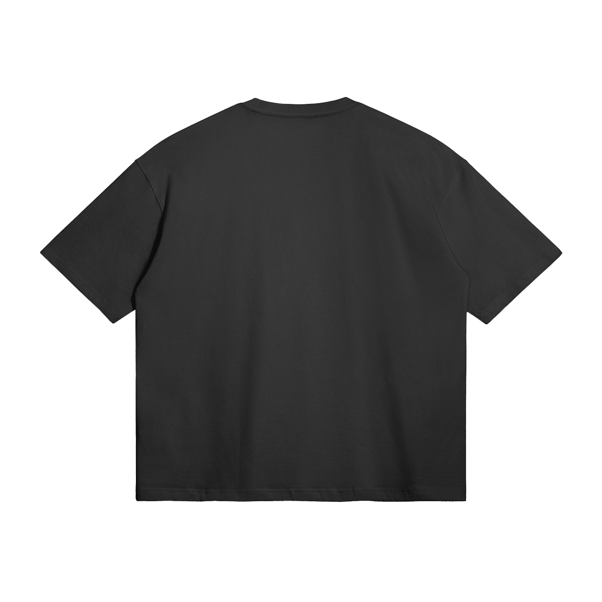 EMBROIDERY LOGO MONO Boxy T-Shirt, back